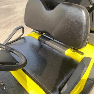4 asientos de caza eléctrica se levantaron los carros de golf con la cesta delantera