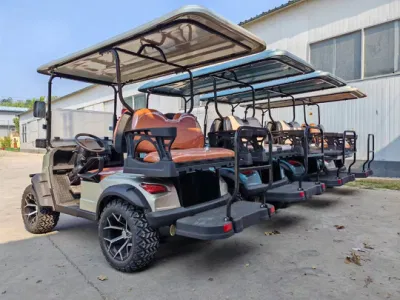 Coleman Electric Golf Cart 2 navegantes Legal Street Golf Cart Batería de litio para la venta Servicios de Golf motorizado Carro de empuje personal Carros de golf eléctricos