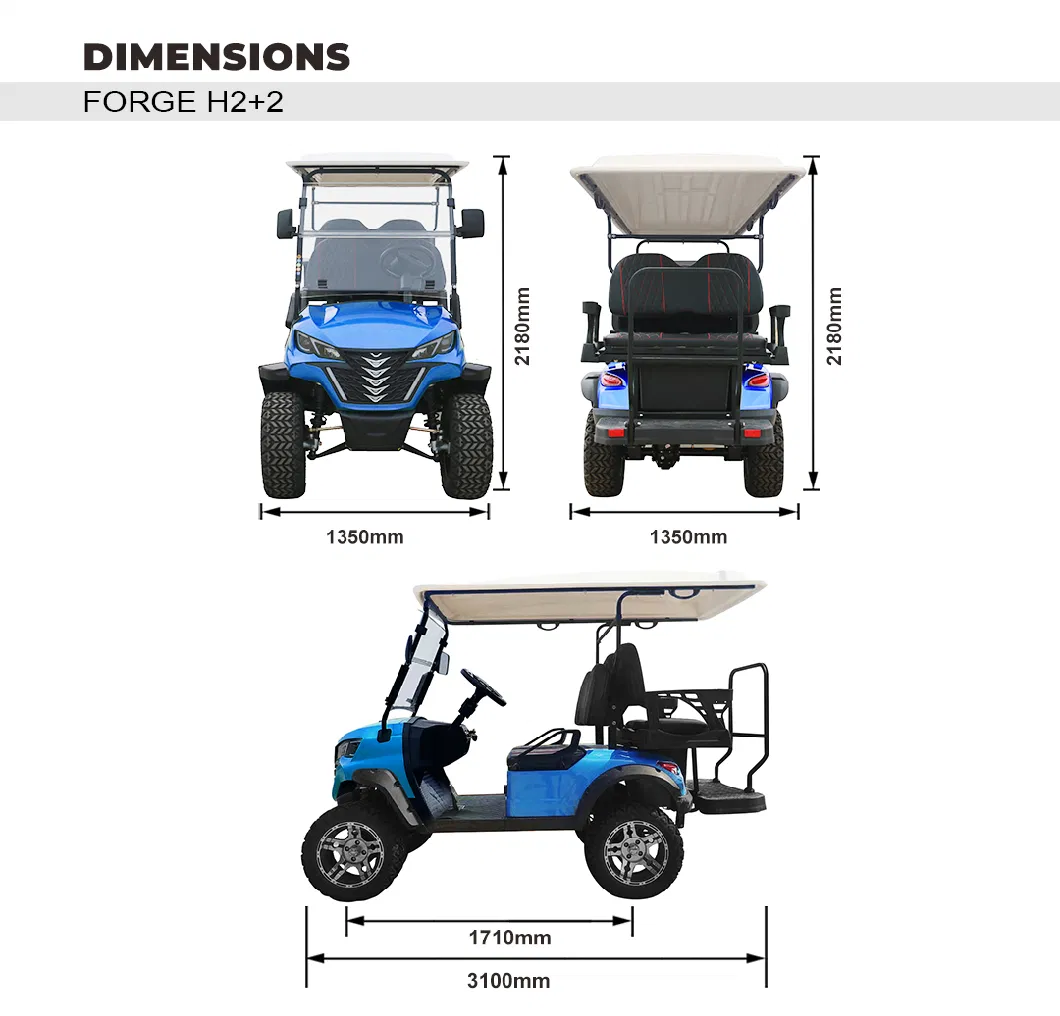 Super Quality Golf Cart Hunting 2+2 Seats Forge H2+2 Electric Golf Car