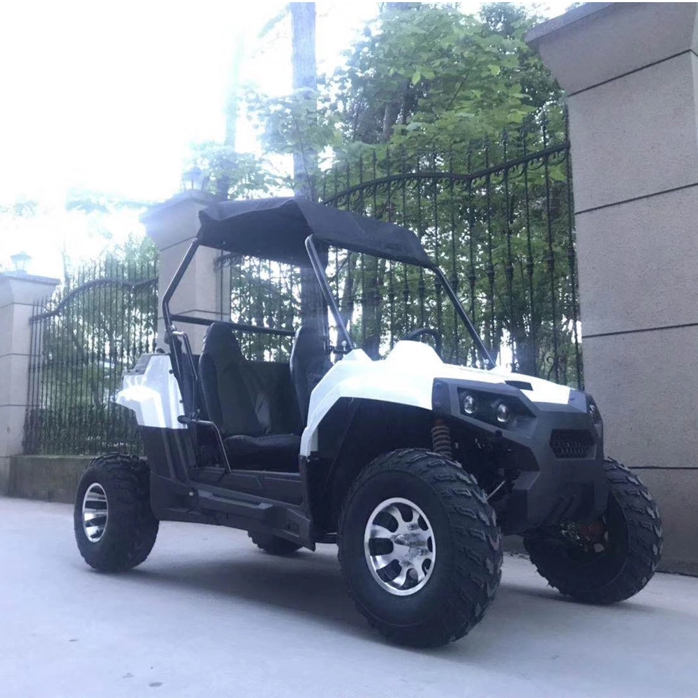 Factory Outlet off-Road Electric UTV All Terrain Vehicle Buggy Racing UTV Utility Vehicle for Sale