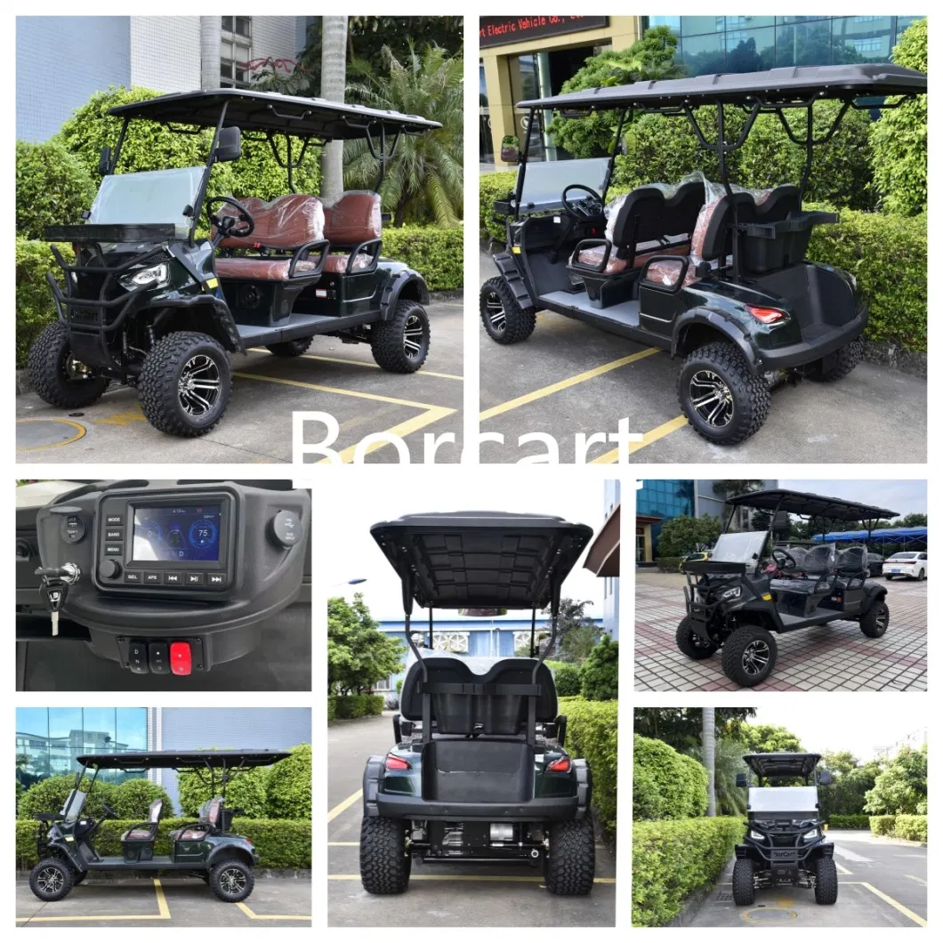 Hot Sales Personal Classic Golf Cart China Supplier for CE