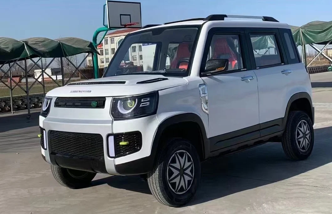 2023 New China Electric Car New Energy Car Small off-Road Car 4-Wheel Lead-Acid Battery High Quality Range Rover
