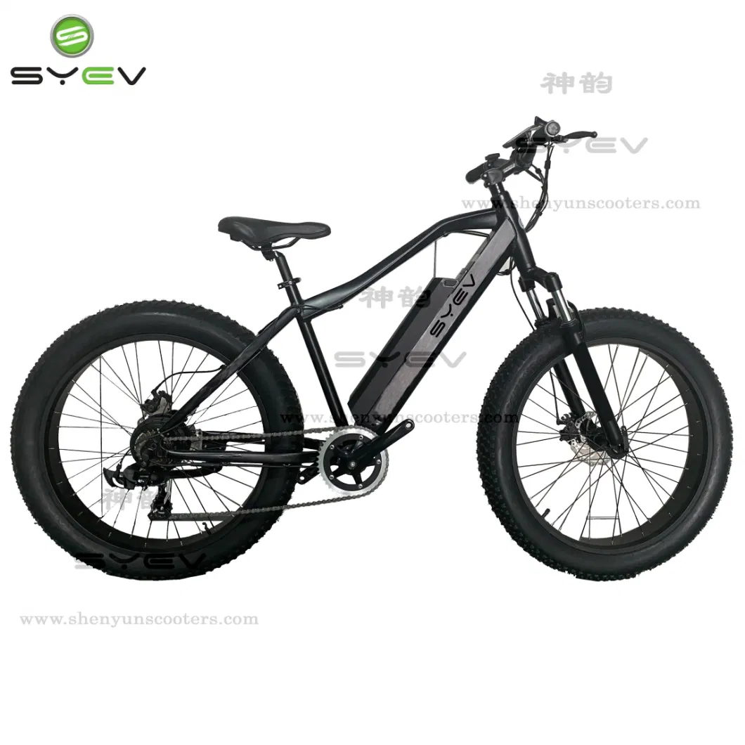 China Shenyun Factory Top Sale High Speed Aluminum Alloy 26&quot; Fat Tyre Electric Bike for Youth