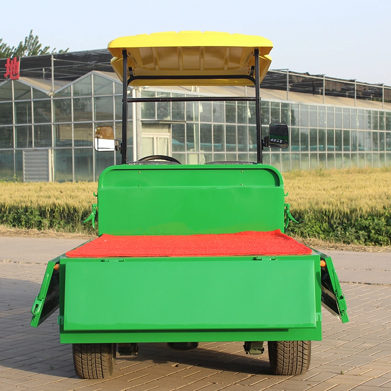 Ready to Ship China Customized 2 Passenger Mini Electric Golf Car, Golf Shuttle, Golf Buggy, Golf Trolley, Golf Utility, Golf Cart with Cargo Bucket CE Approved