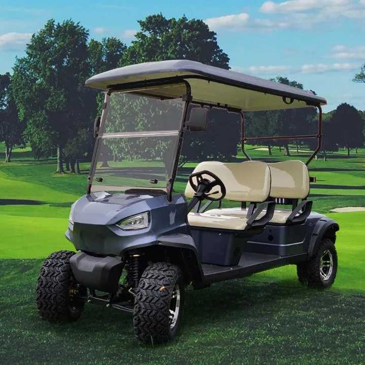 Wintao Custom Lithium Battery Electric Golf Cart Mini Golf Buggy