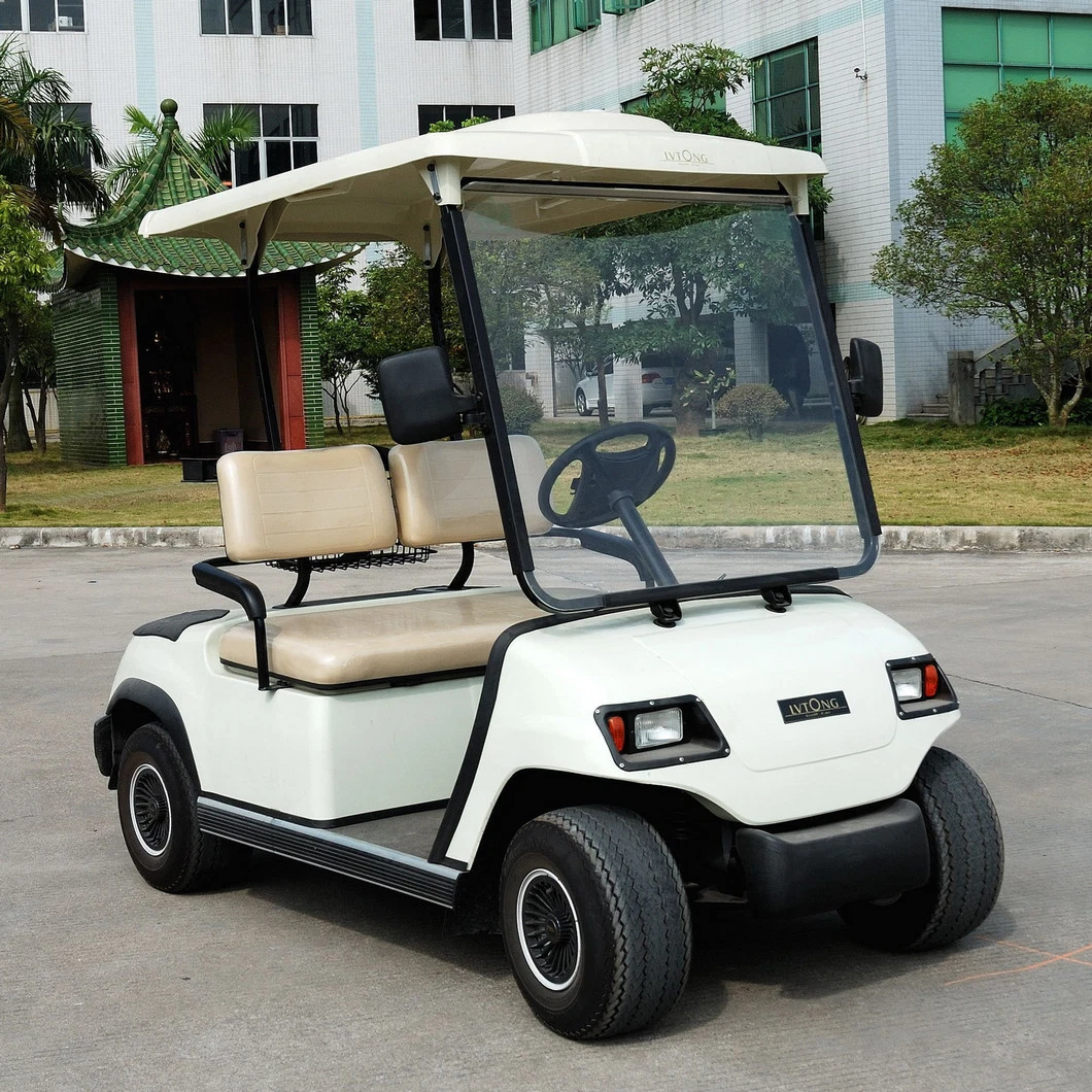 2 Seater Golf Buggy Street Legal Electric Car for Sale