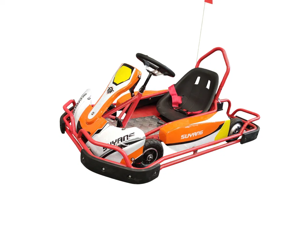 Factory Direct Sales Teen Kart 36V35ah Lead-Acid 2000W Electric Go Kart