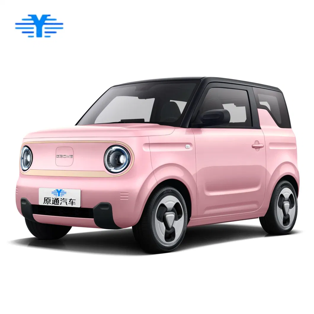 Chin 2023 Small Electric Car Cheap Cars Manufacturer Direct Sale New Energy Electric Vehicle for Geely Panda Mini