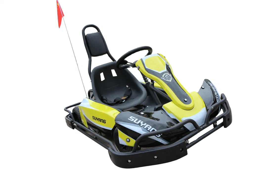 Fashion Design 2000W Fast Electric Racing Go Kart for Adults