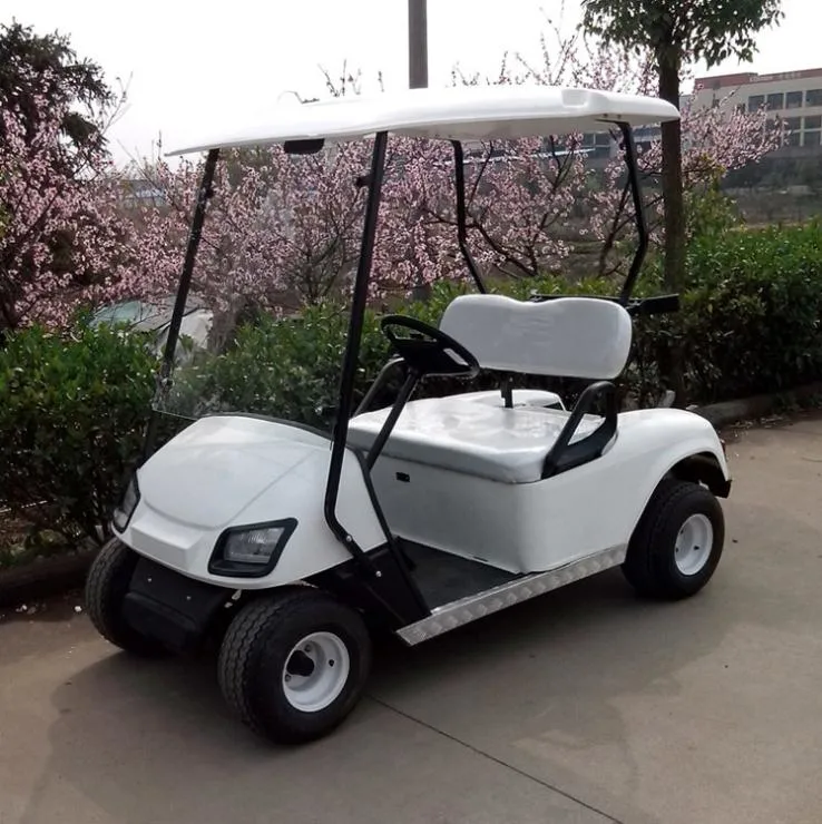 2 Seater Cheap Golf Cart with Large Storage Compartments