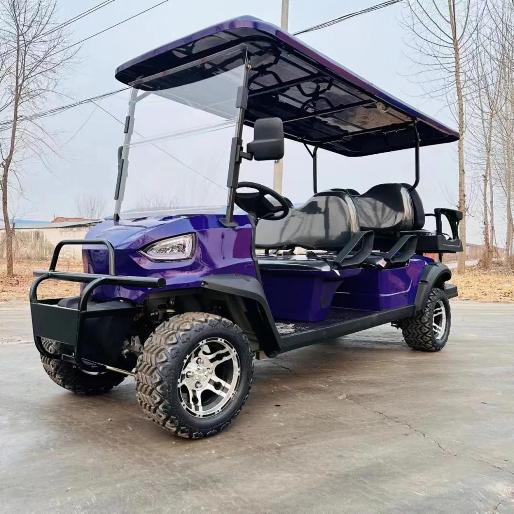 Personal 2 Seater Street Legal Golf Cart with Low Price