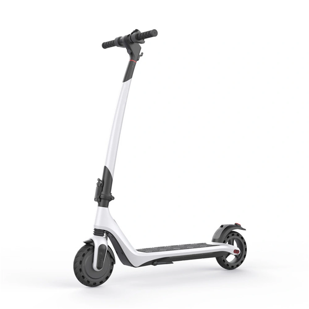 2021 Popular Cooper Citycoco 1000W Tricycle Adult Electric Mobility Scooter with Golf Bag