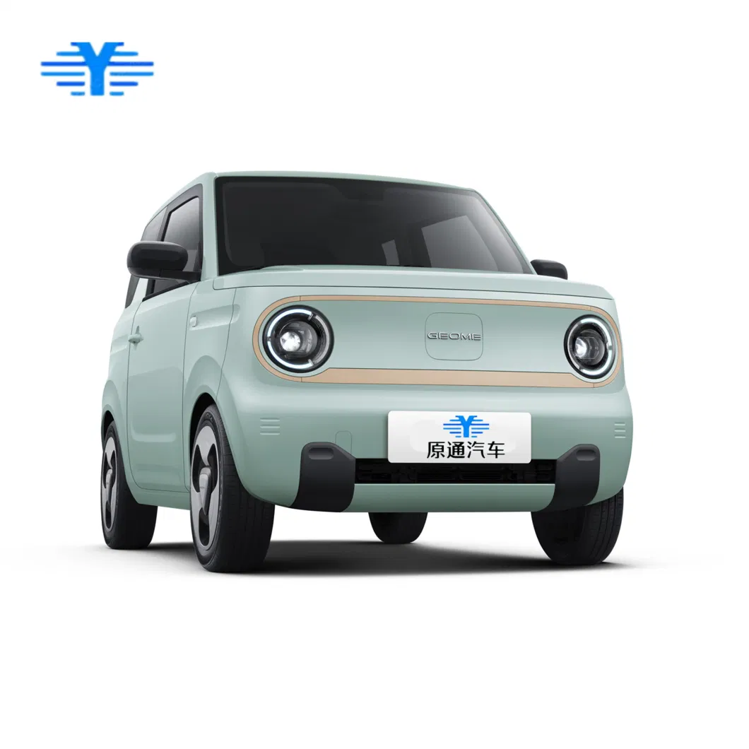 Chin 2023 Small Electric Car Cheap Cars Manufacturer Direct Sale New Energy Electric Vehicle for Geely Panda Mini