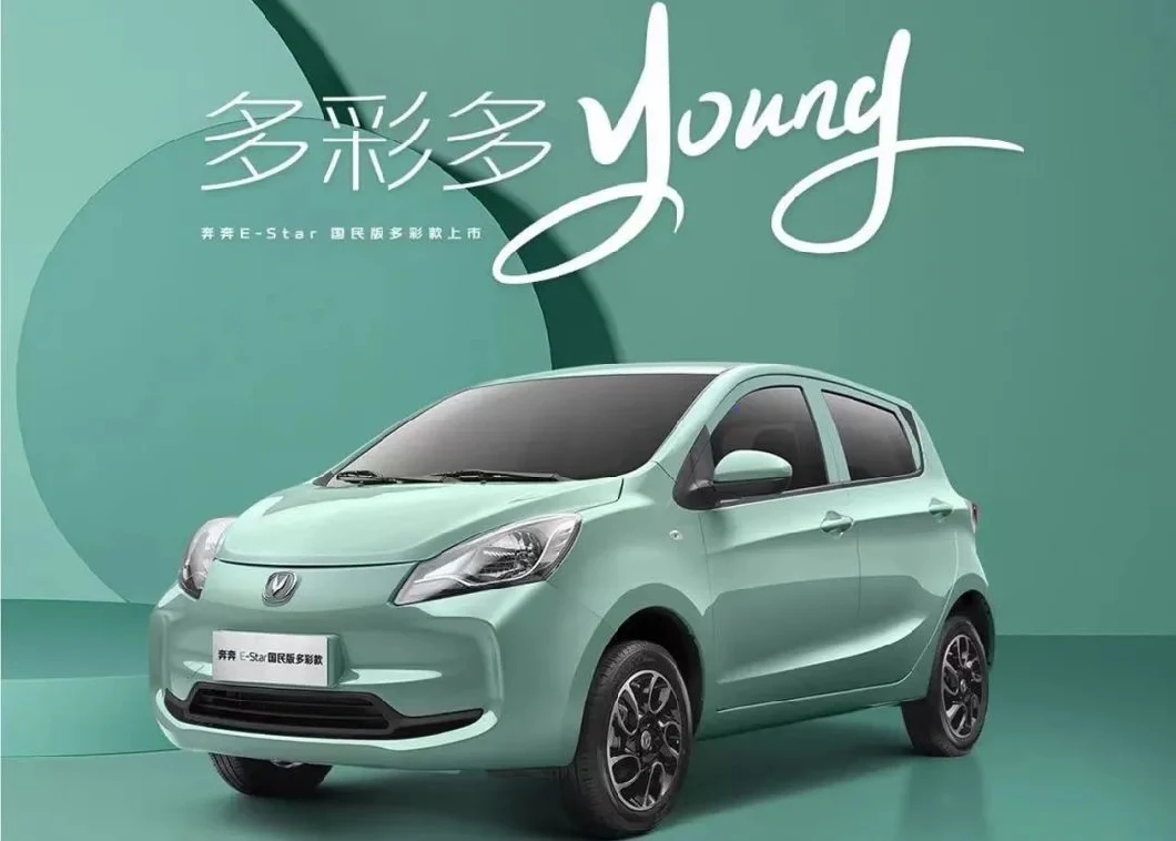 Changan Benben E-Star 5 Seats High Performance Used Electric Car