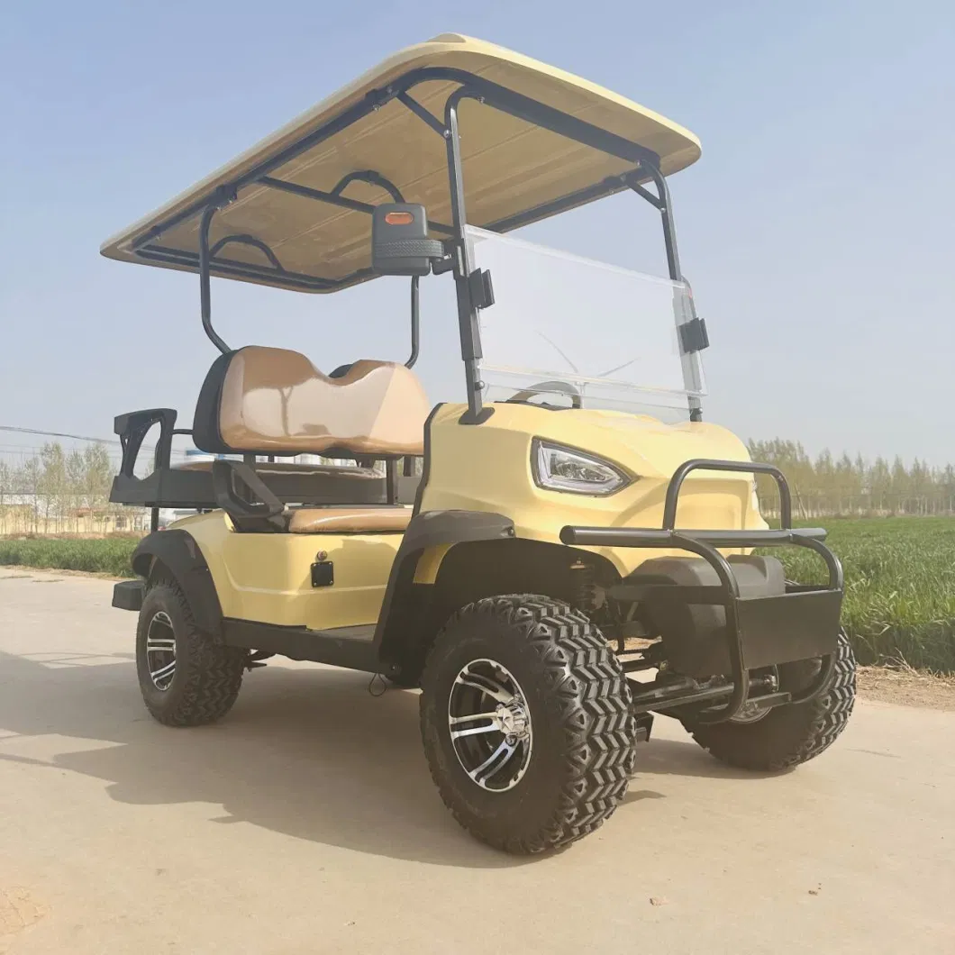 Electric Power Sightseeing Bus Western Style 2 Seat Golf Cart