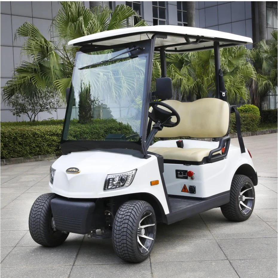 Steel Electric Container CE China Cargo Marshell Golf Cart Ds-A2