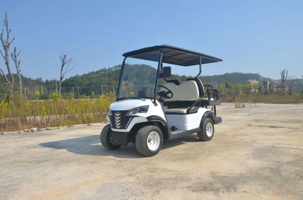 2023 Electric Club off-Road Vehicle Ds Outdoor &amp; Tourist Attraction Sightseeing Car