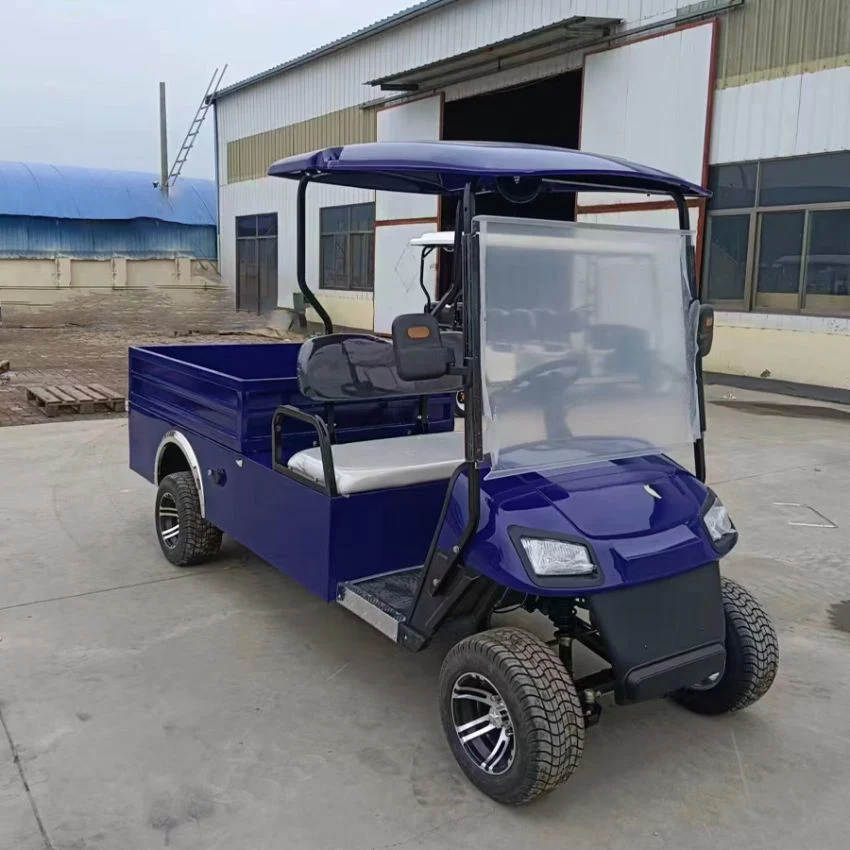 Chinese Wholesale Golf Cart Manufacturers 4 2 Seater Go Kart Vintage Golf Carts for Sale