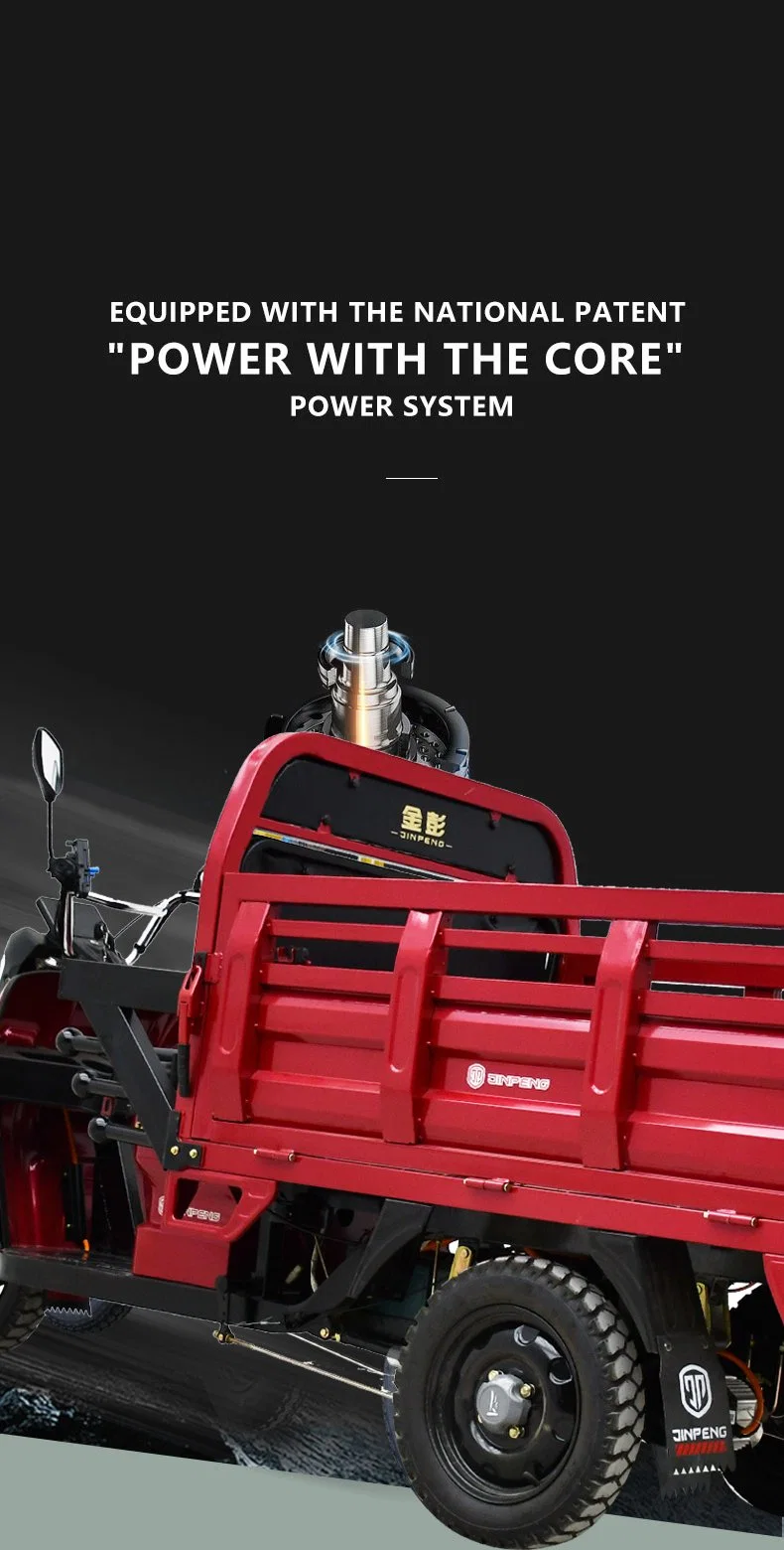 Dls150 PRO China Supplying Electric Tricycle New Energy Resources Three Wheel Vehicle Electric Loader High Quality for Cargo Basic Customization