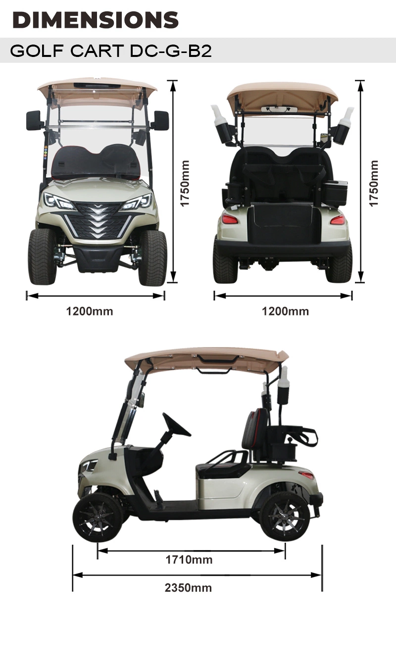 Dachi 2 Seater Electric Buggy Electric Golf Car