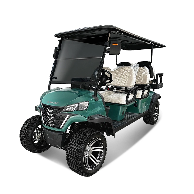 6 Passenger Electric Sightseeing Golf Cart Utility Vehicle Road Legal Buggy