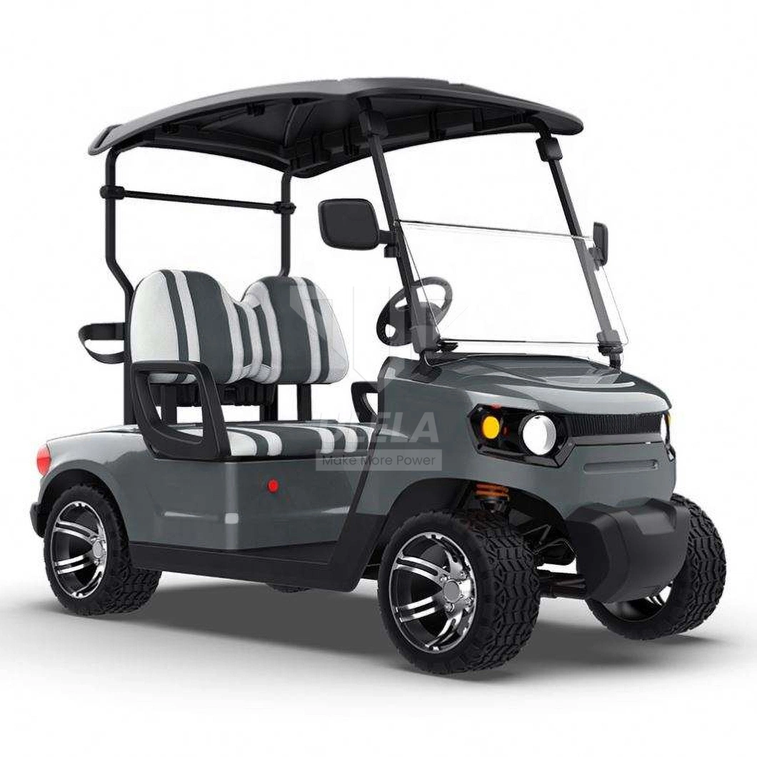 Ulela Advanced EV Golf Cart Dealers 90-120km Max Driving Range Golf Cart 48V China 2 Seater Lithium Golf Cart