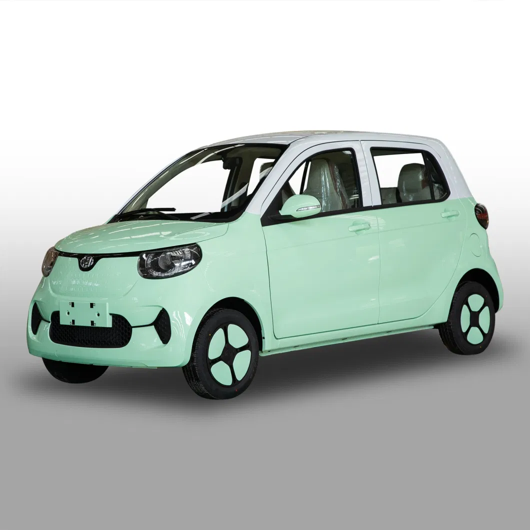 Popular Color Family EV Electric Car for Young People