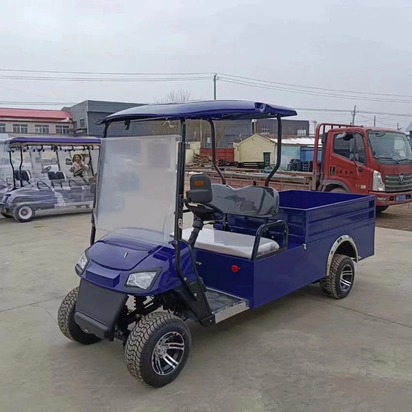 Chinese Wholesale Golf Cart Manufacturers 4 2 Seater Go Kart Vintage Golf Carts for Sale