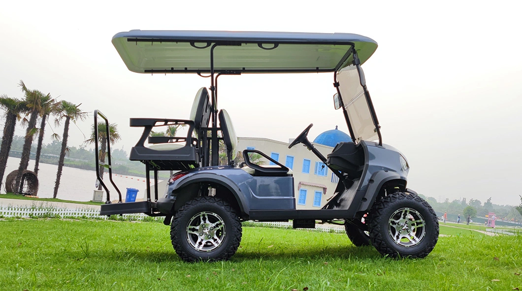 Dune Utility Vehicle Buggy 4 Person Electric New Golf Carts