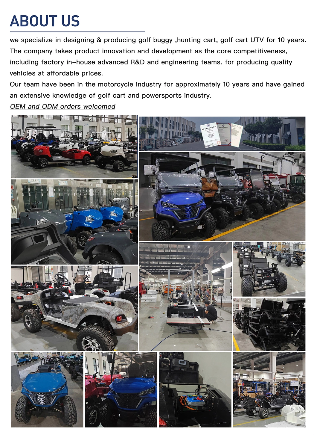 Brand New Design Factory Direct 2 Seats Lifted Golf Cart Electric Hunting Buggy Cart Lsv with CE DOT