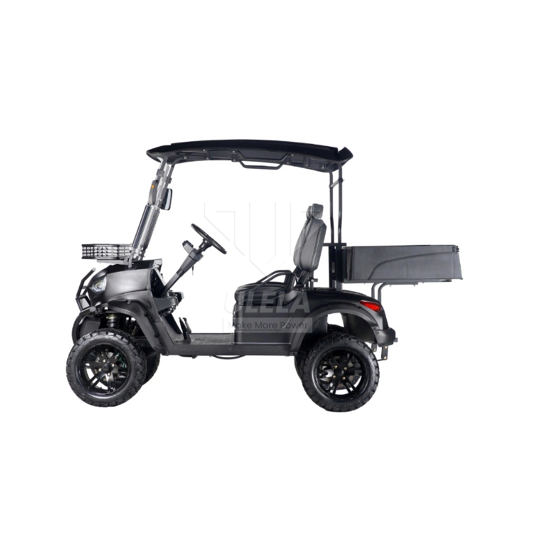 Ulela Golf Cart MFG 20-30 Km/H Max Speed Golf Electric Cart China 2 Seater Personal Golf Cart