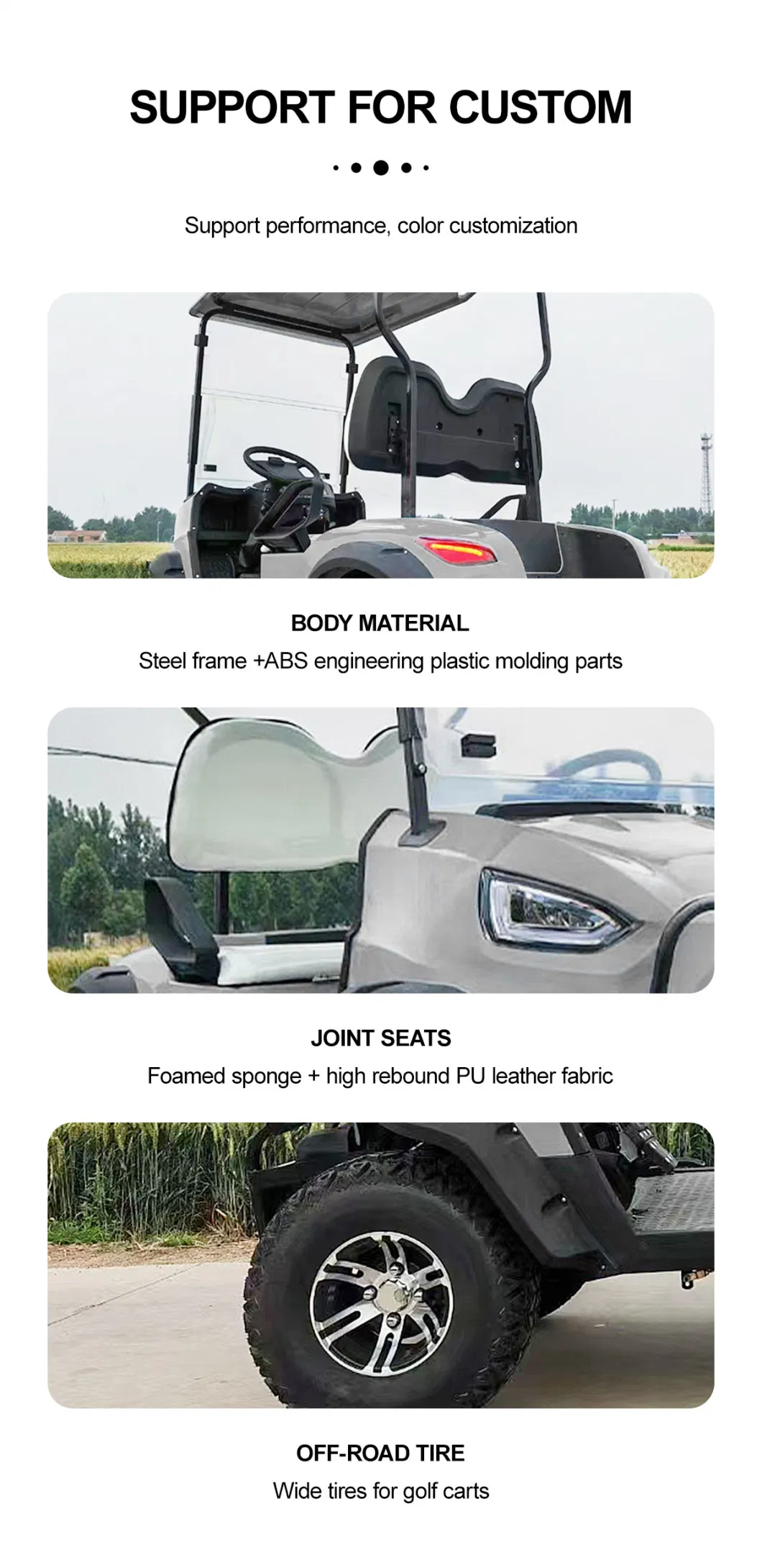 Free Color Custom 2 Seat Advanced Motorized Utility Small Golf Buggy Price with Large Storage Space Can Put Golf Trolley Bag