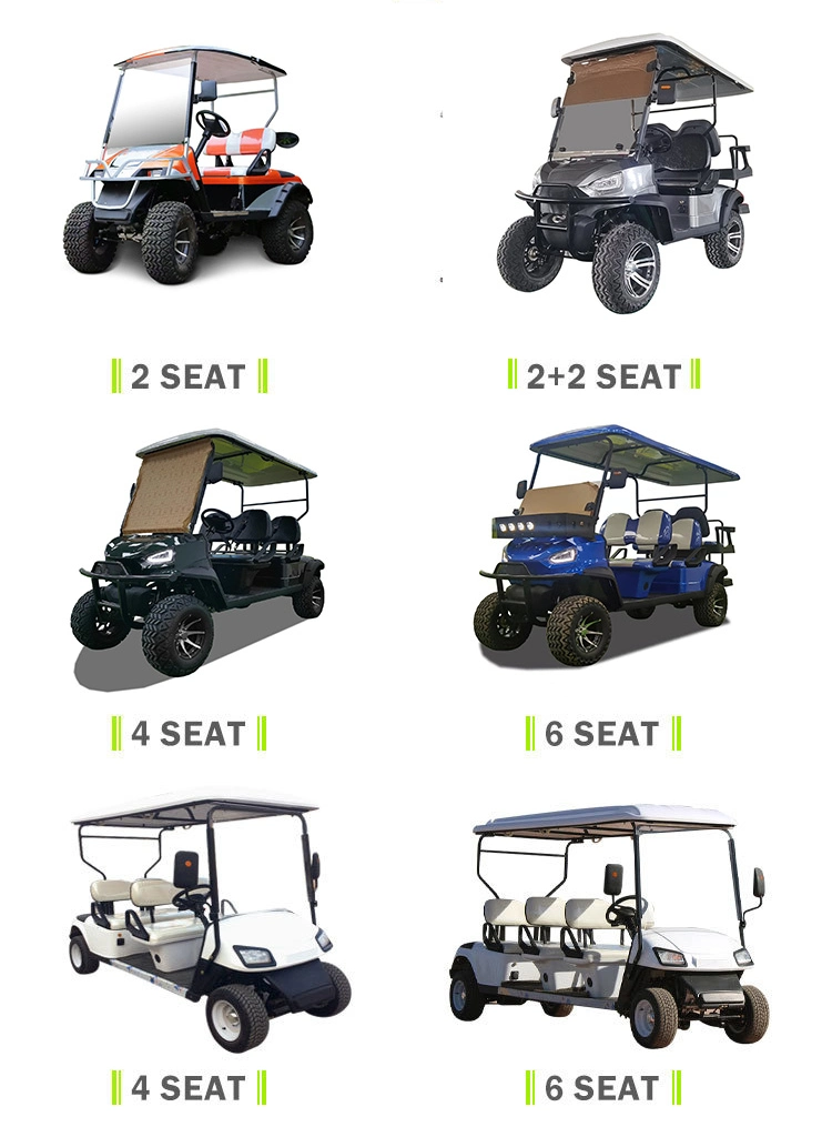 4 Seat Enclosed Golf Cart Mini Electric Golf Carts with 48V Lithium