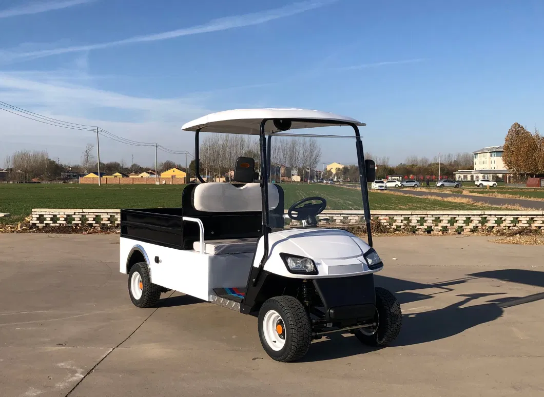 2 Seats Utility Golf Carts/ Utility Vehicle with Rear Cargo Box/ Golf Cart with Cargo Bed