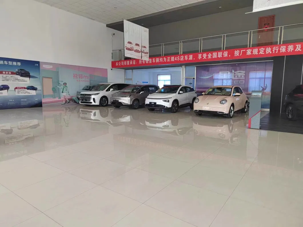 Chin 2023 Small Electric Car Cheap Cars Manufacturer Direct Sale New Energy Electric Vehicle for Geely Panda Mini