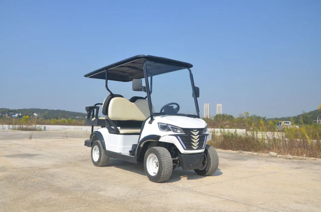 2023 Electric Club off-Road Vehicle Ds Outdoor &amp; Tourist Attraction Sightseeing Car