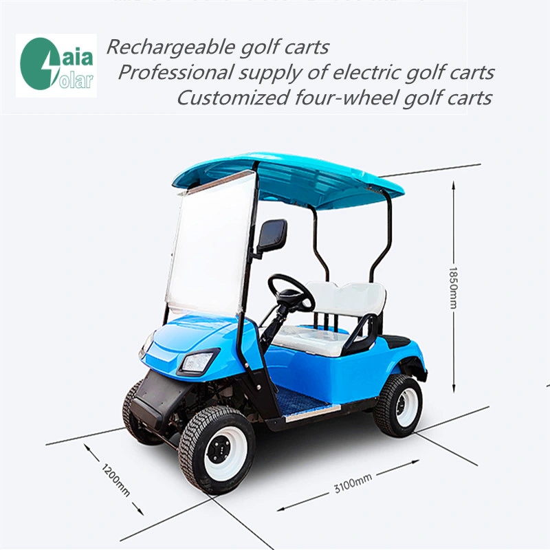 New Model 2 Seater Golf Cart with Large Storage Compartments
