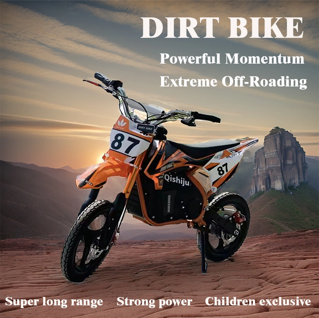 800W Super Powerful Cool Electric off-Road Vehicle