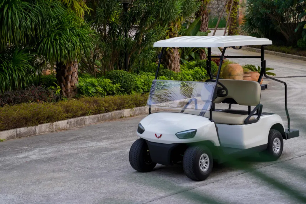 China Made Battery Operated 2 4 6 Seater Classic Golf Cart with Large Storage Compartments