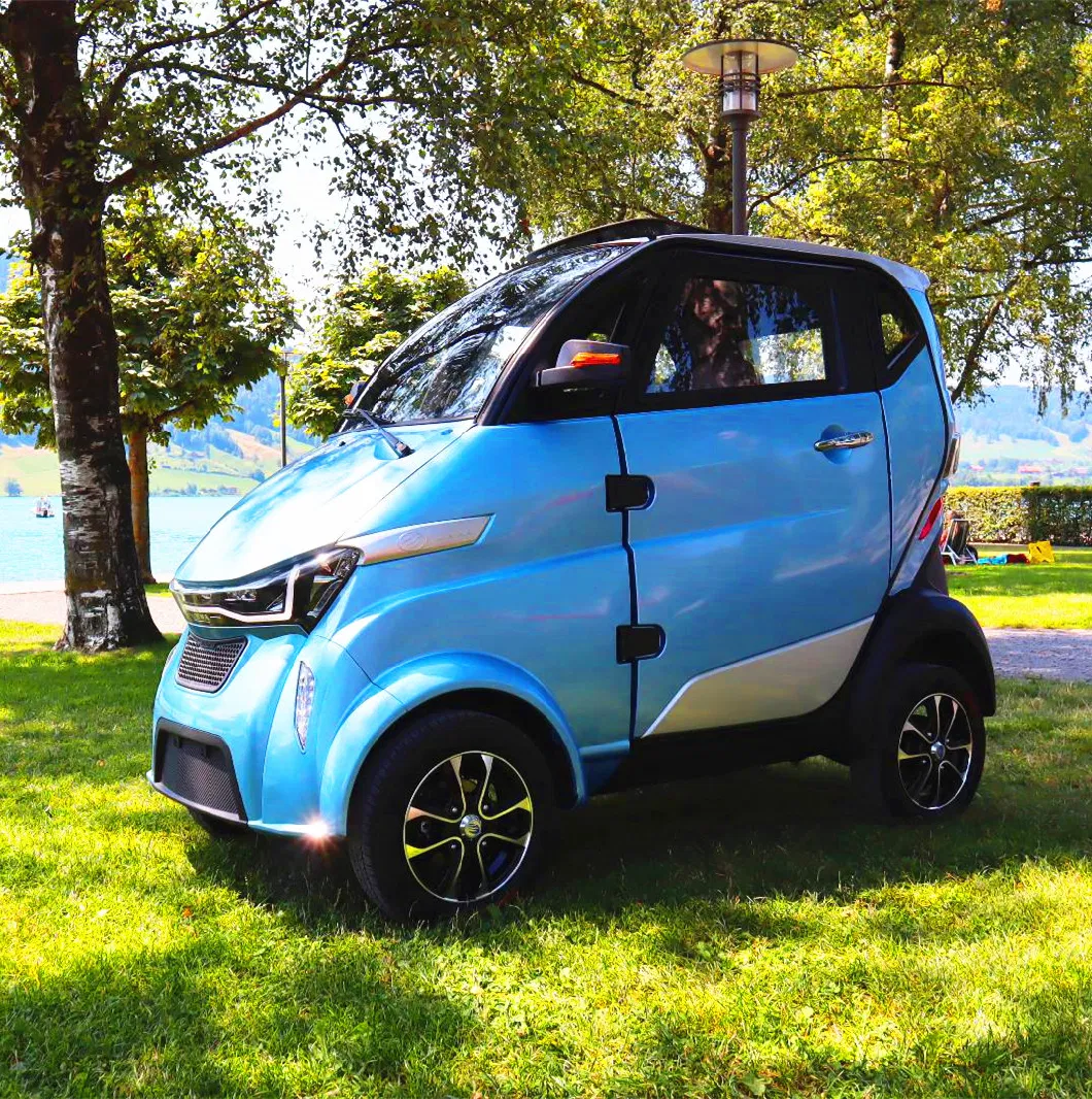 Powerfull 60V4000W Police Electric Car with 2 Seat