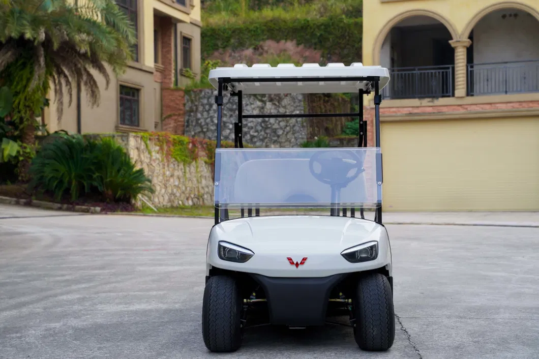 China Made Battery Operated 2 4 6 Seater Classic Golf Cart with Large Storage Compartments
