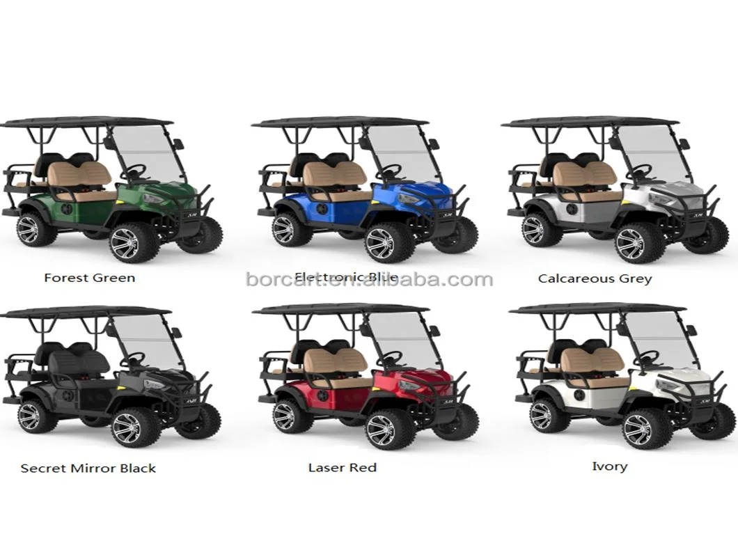 New Mold Electric Golf Cart 4 Disc Brakes New 6 Seater Lsv Golf Cart with Golf Bag Rack