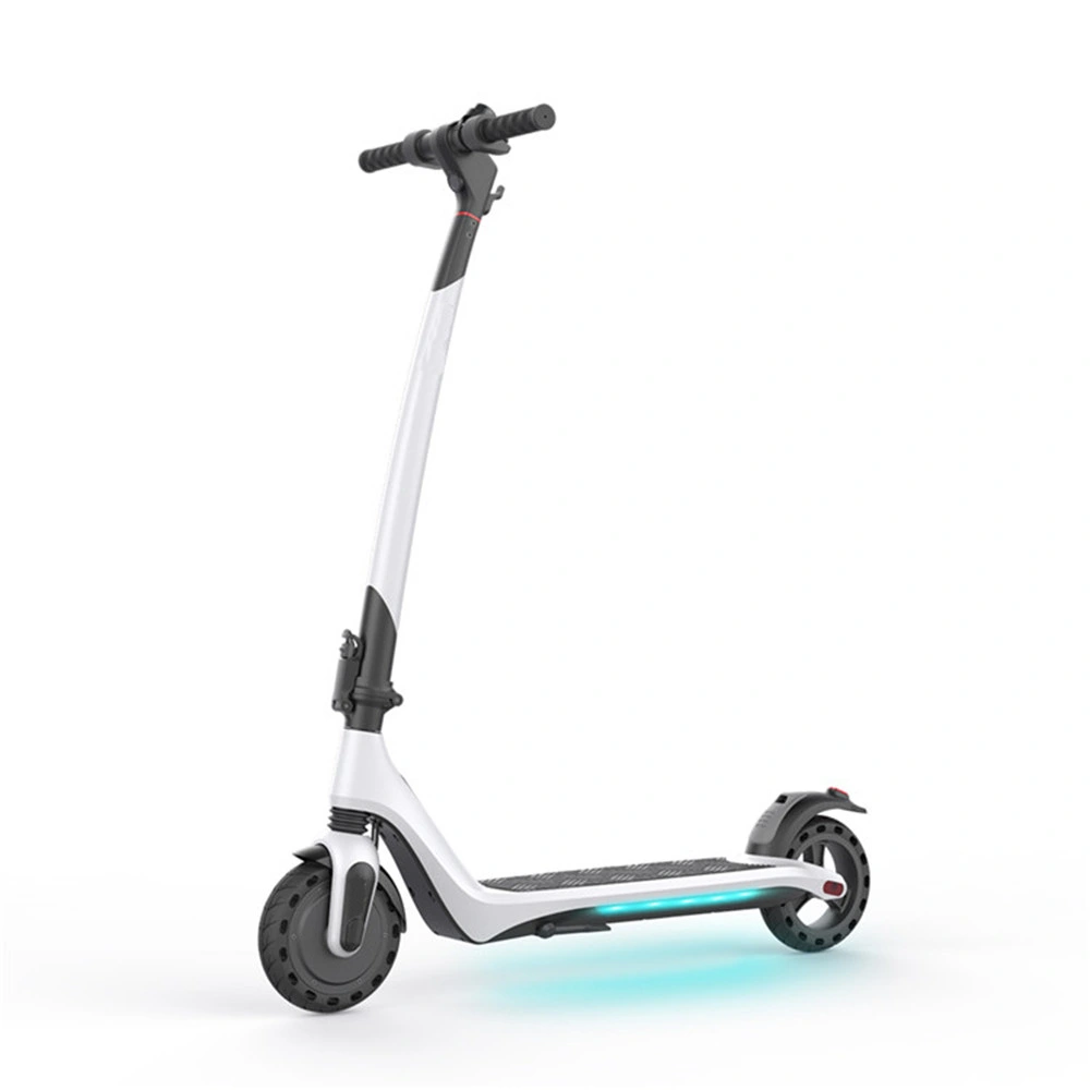 2021 Popular Cooper Citycoco 1000W Tricycle Adult Electric Mobility Scooter with Golf Bag