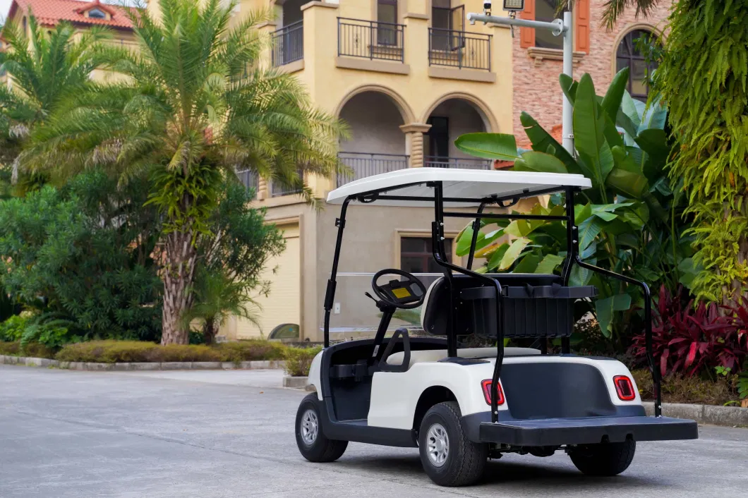 China Made Battery Operated 2 4 6 Seater Classic Golf Cart with Large Storage Compartments