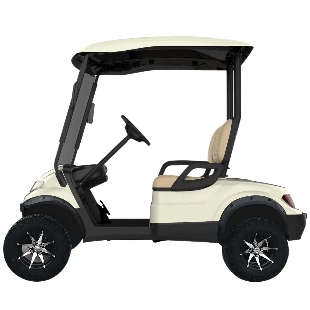 2 Seaters Electric Motorized off Road Hunting Golf Buggy Cart