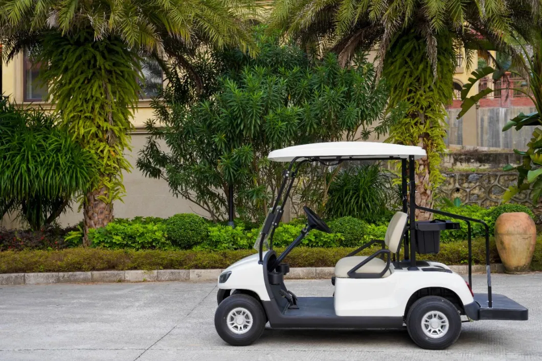 Electric Golf Car Electric Cheap Electric Golf Carts Electric Club Car with CE Certificate