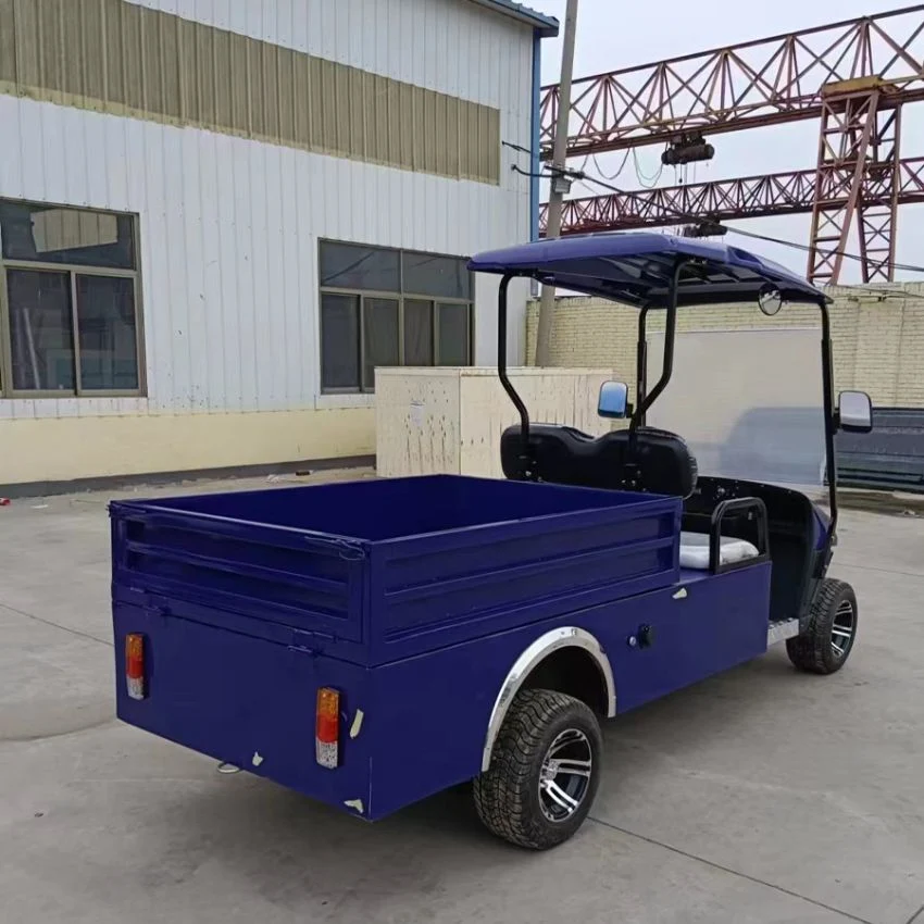 Chinese Wholesale Golf Cart Manufacturers 4 2 Seater Go Kart Vintage Golf Carts for Sale