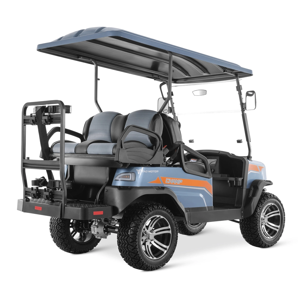 Mini Electric Car Vehicle Buggy Golf Carts Golf Car