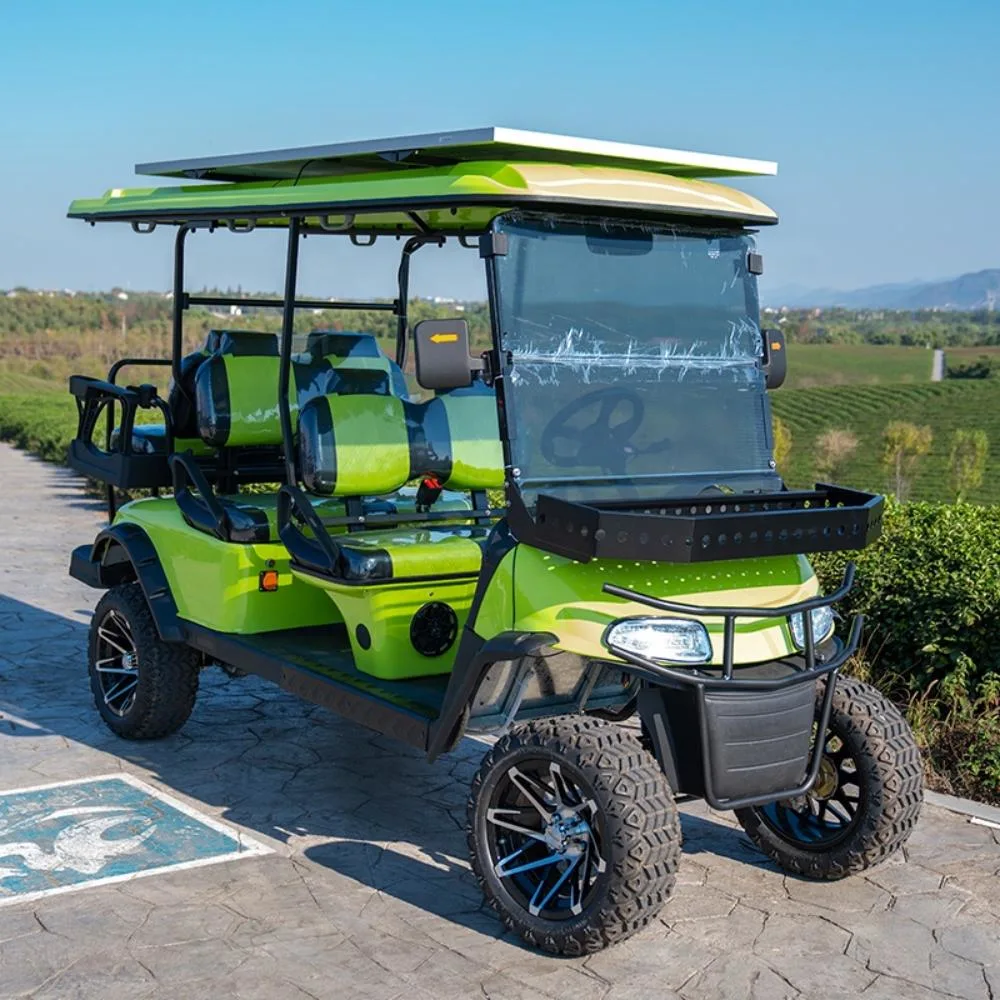 Personal 2 Seater Street Legal Golf Cart with Low Price