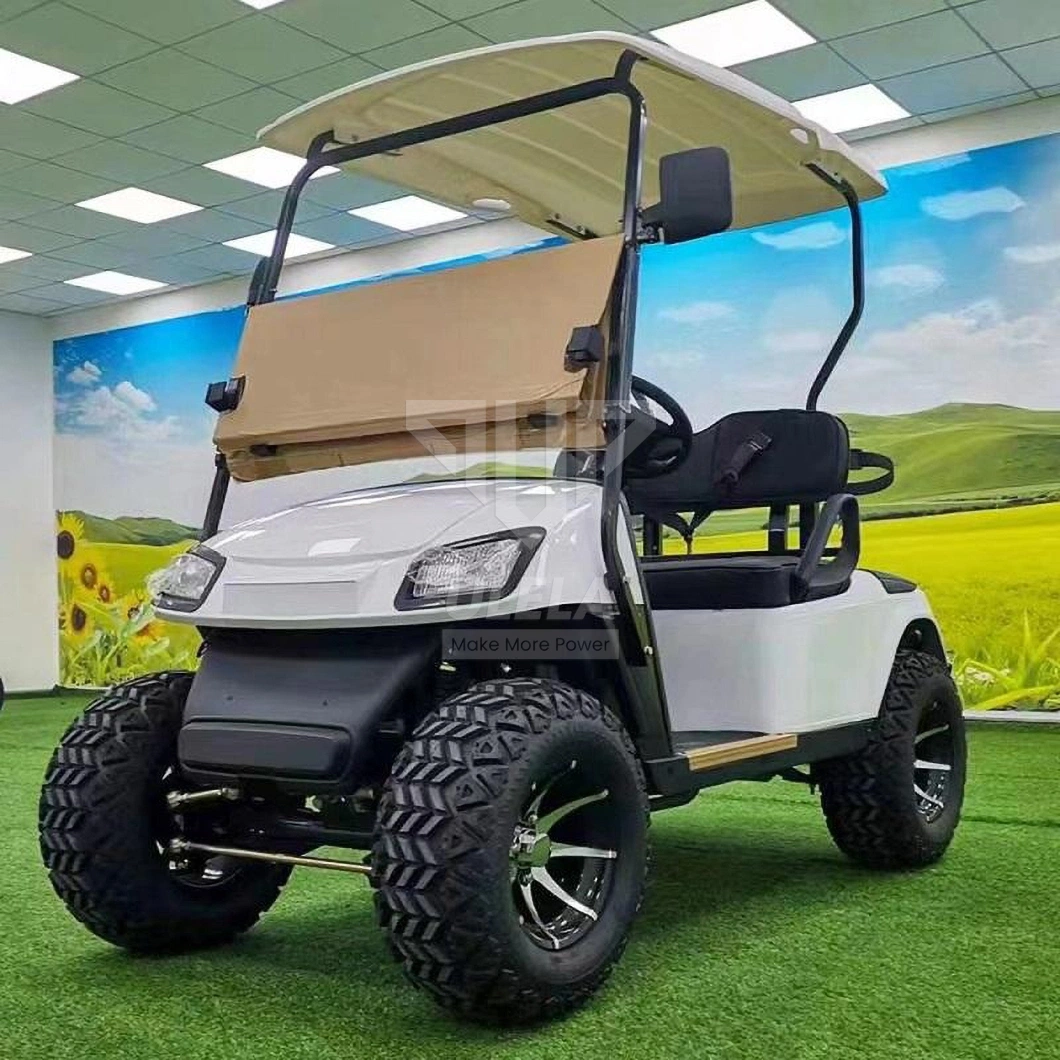 Ulela Epic Golf Cart Dealers Steel Frame Golf Carts Green 2 Seater China 2 Seater Battery Operated Golf Carts